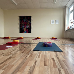 lichtdurchfluteter Yogaraum mit Yogamatten und Yogakissen mit hochwertigem Holzboden
